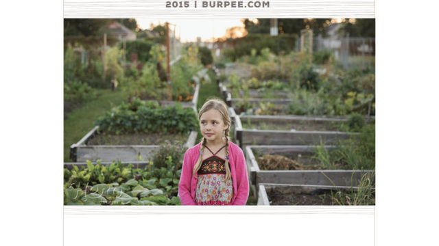 burpee-seed-catalog-parksgroupboulder