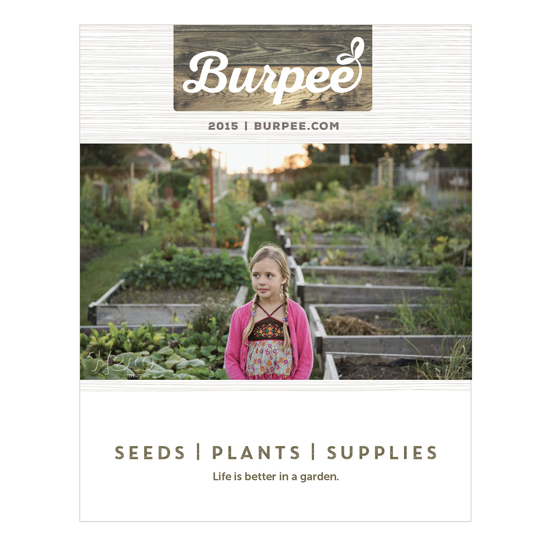 burpee seed catalog